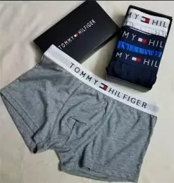 tommy hilfiger th sous vetementss pour homme s_721251